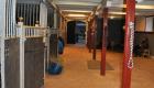 kragga3 gall st