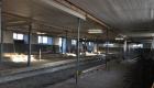 skramsta8 gall st