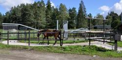skrittmaskinekeby1 gall st